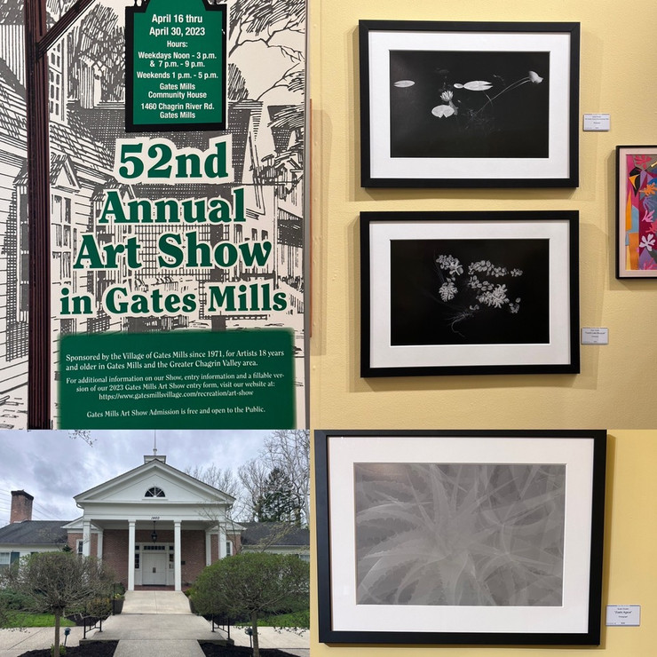 Gates Mills 52nd Annual Art Show