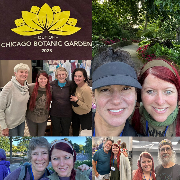 Out of Chicago Botanical Garden