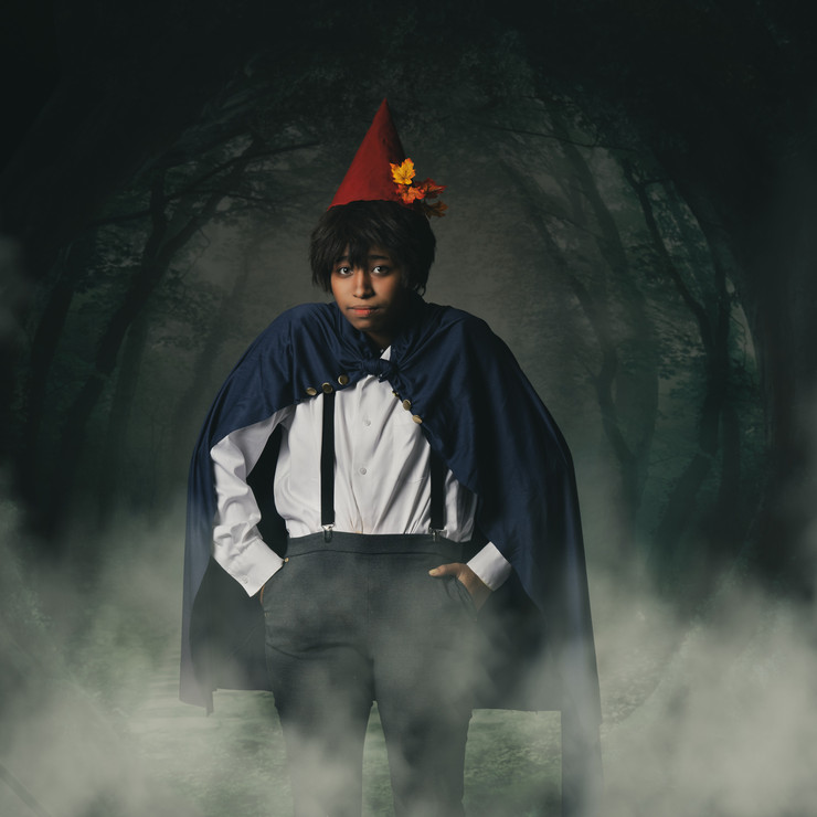 Wirt Universe Over The Garden Wall