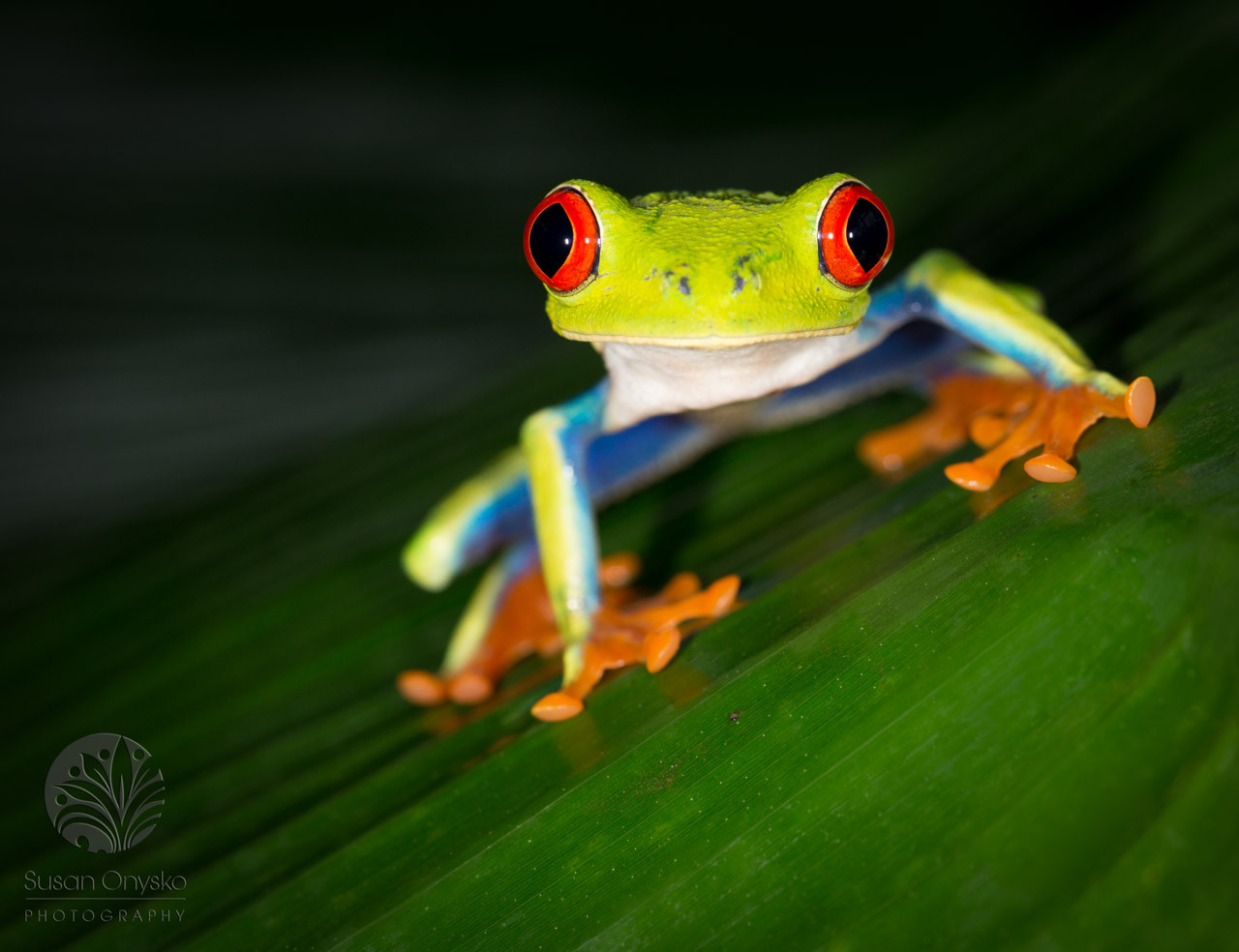 Costa Rica