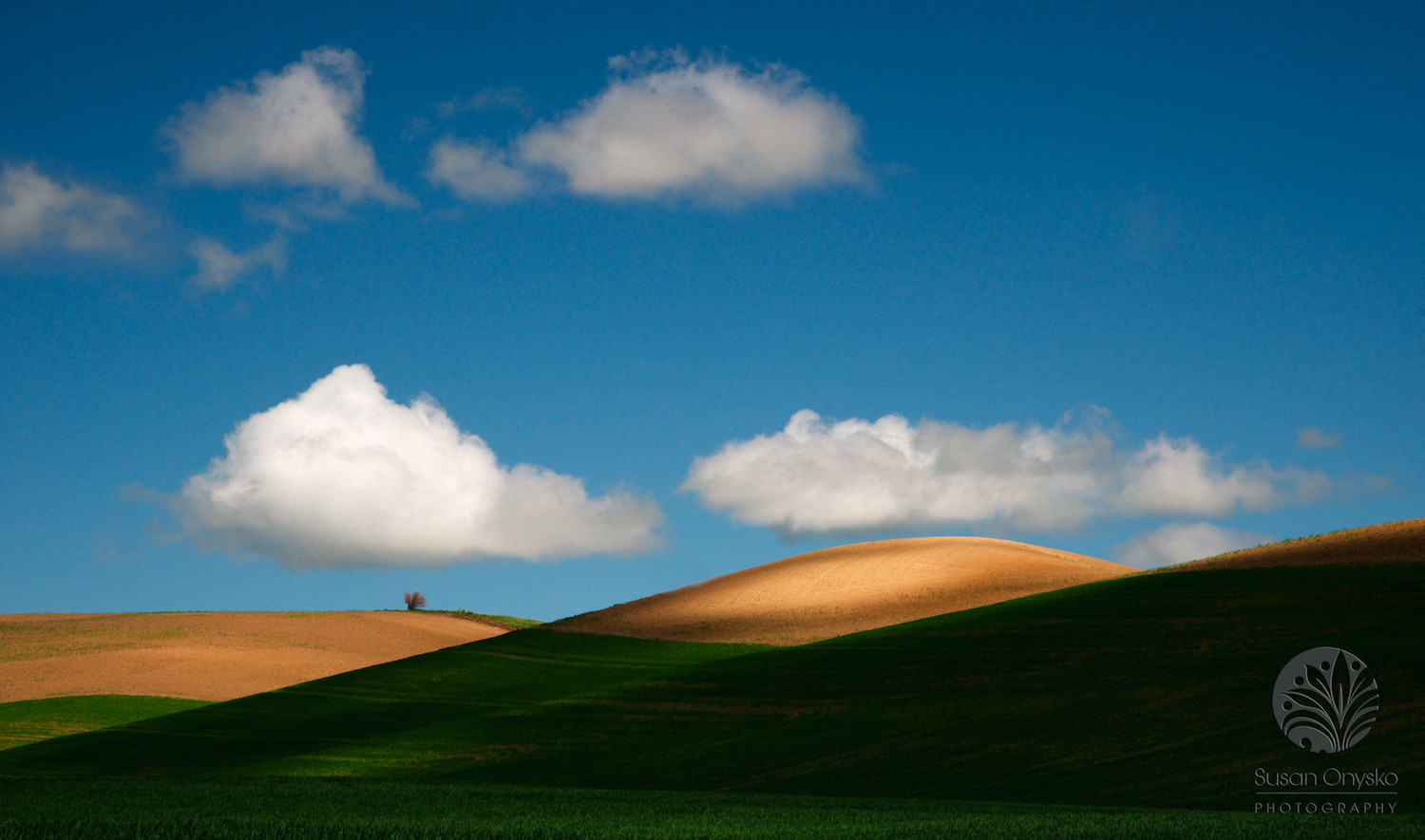 Palouse