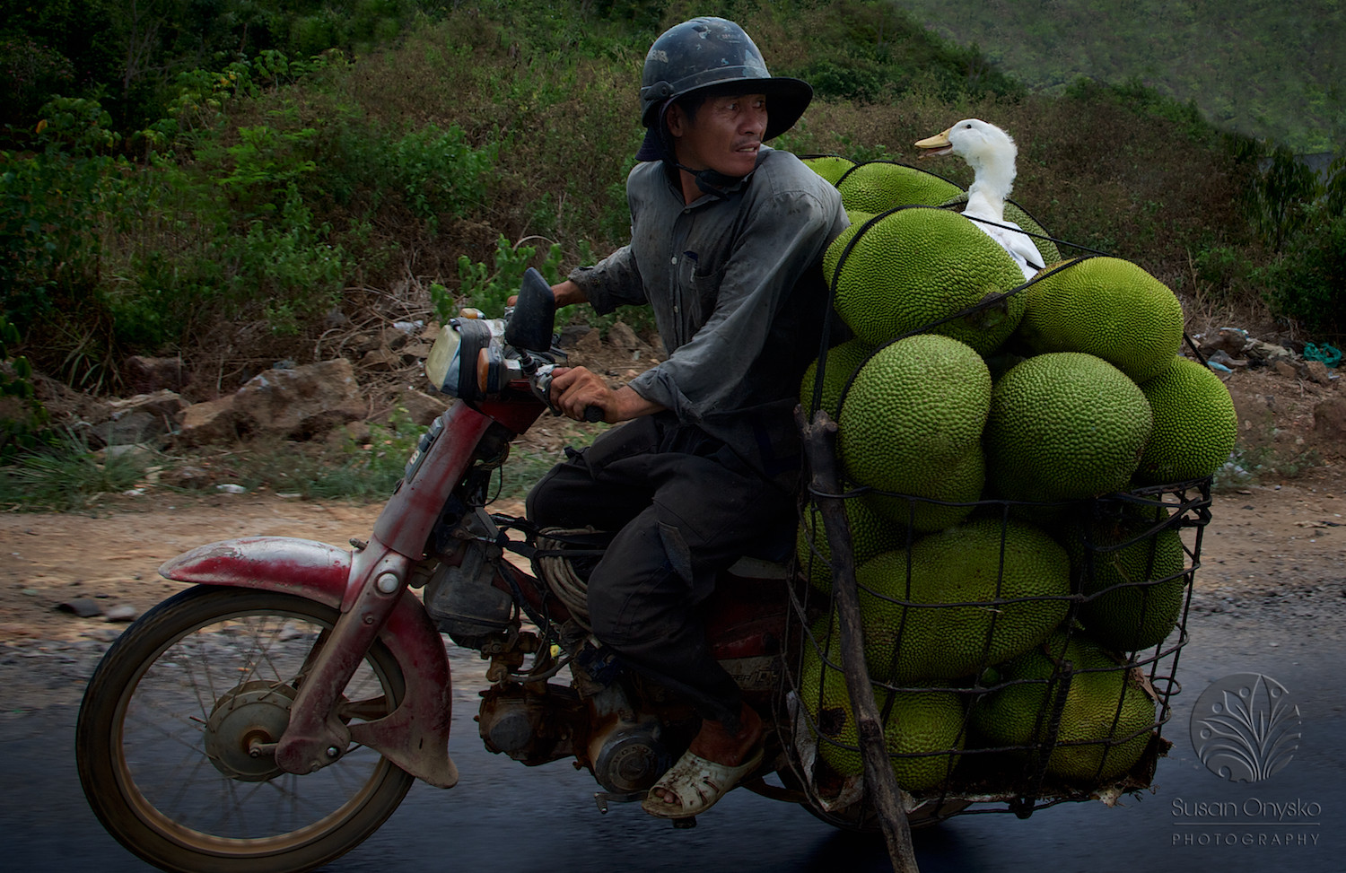 Laos