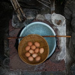 "Eggs in a Basket", Japan 2014
