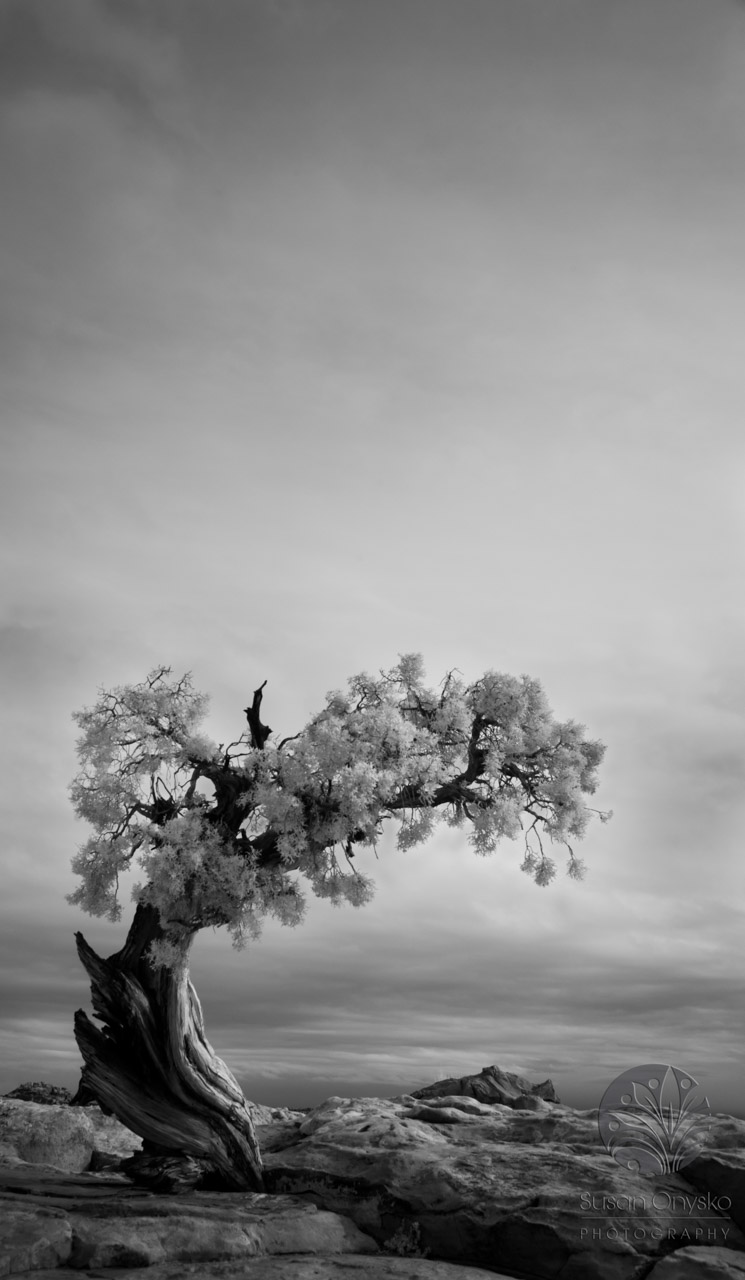 Invitational Photography Exhibition at Group 10 A Fine Arts Gallery